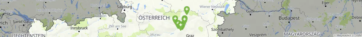 Kartenansicht für Apotheken-Notdienste in der Nähe von Wildalpen (Liezen, Steiermark)